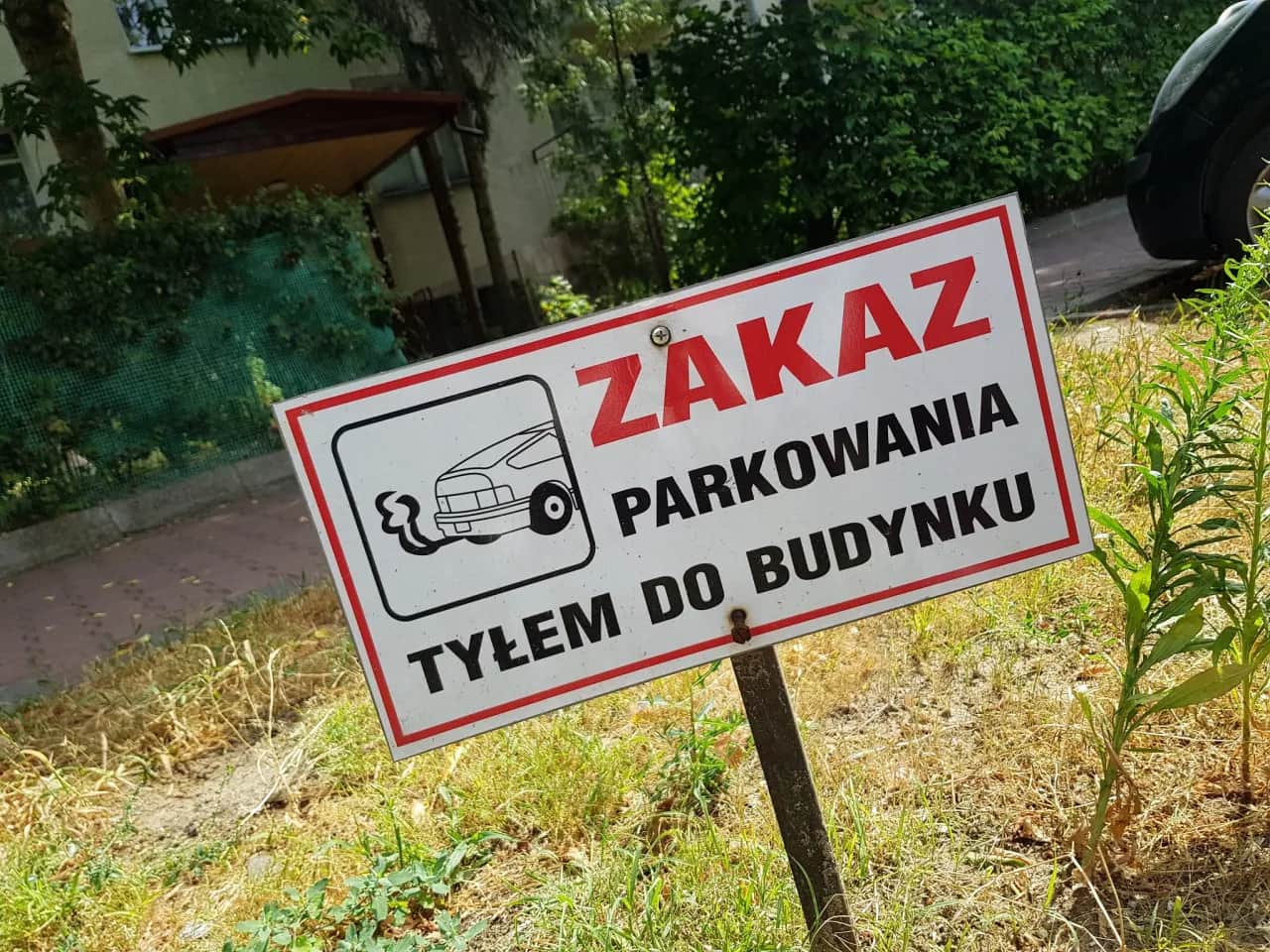 Czy można parkować tyłem do budynku? Sprawdź przepisy i uniknij mandatu