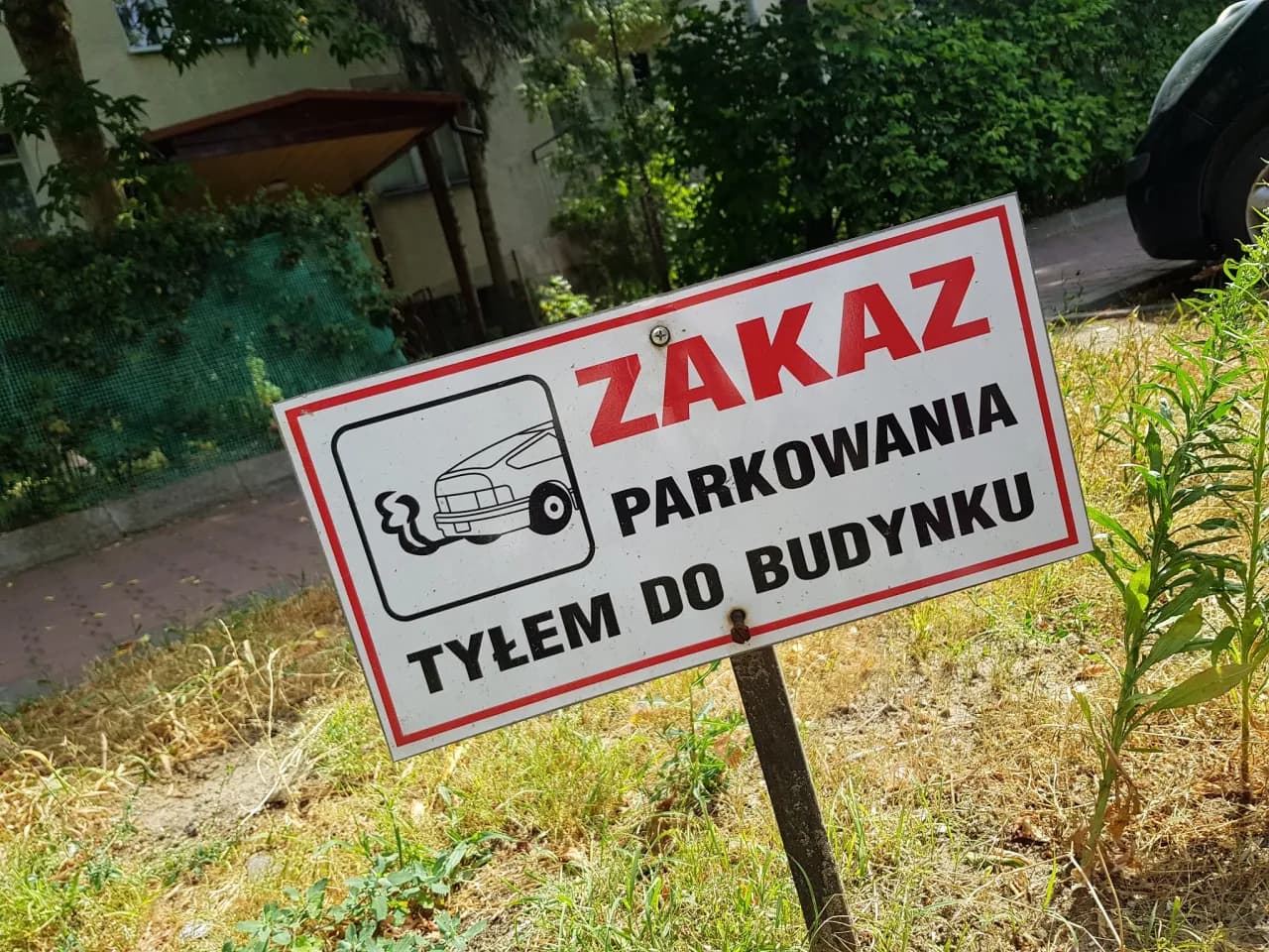 Czy można parkować tyłem do budynku? Sprawdź przepisy i uniknij mandatu